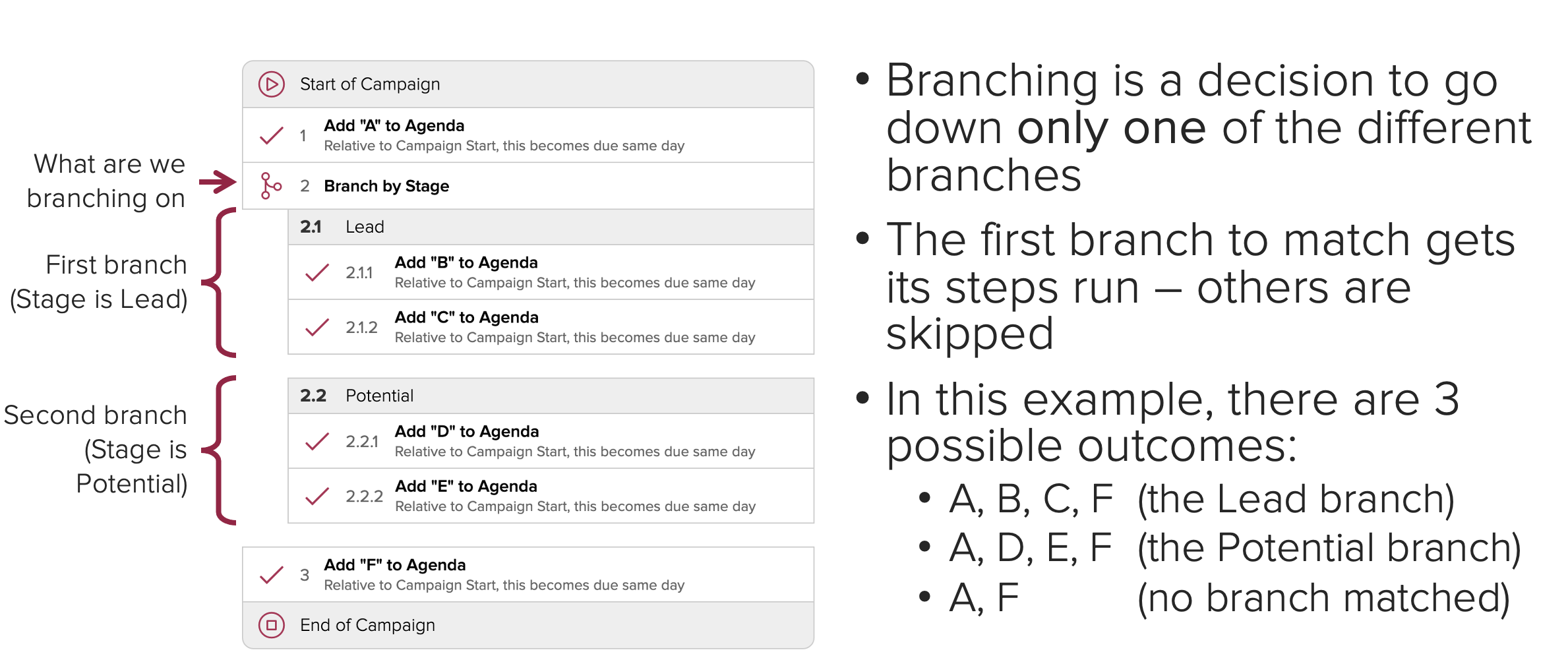 Cloze Campaign Branching overview.