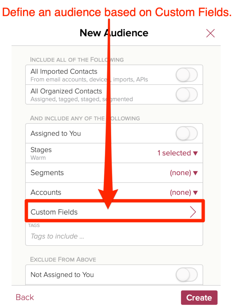 Create a Cloze audience from custom fields. 